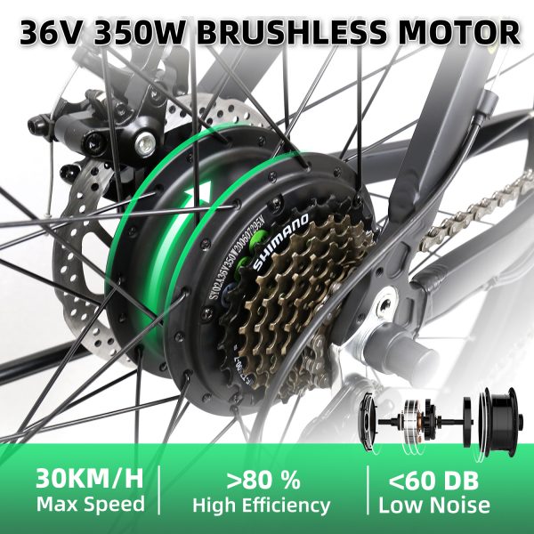 A6AB26 36V 10 AH-350W-bicycle electricity-2