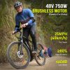 A6AH26 48V 13AH 750W electric bicycle motor -2